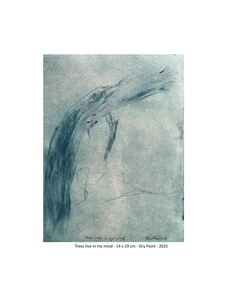 Trees live in my mind - 14x19 cm - Dry point - 2025