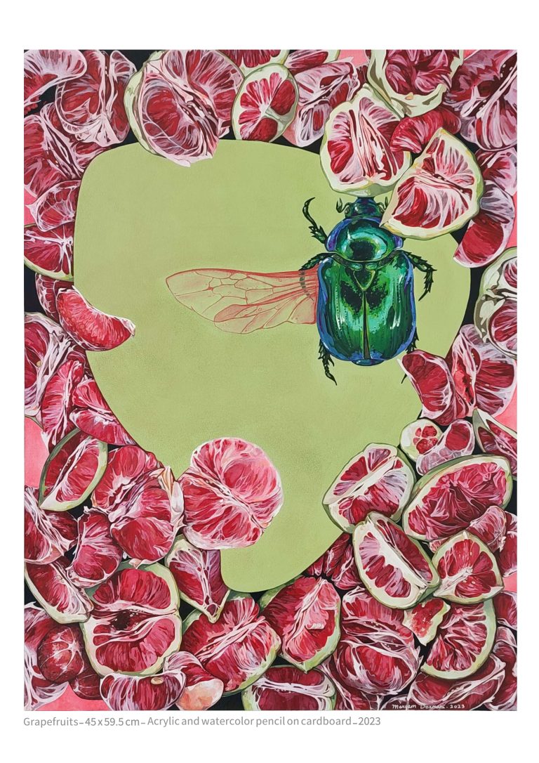 Grapefruits - 45x59.5 cm - acrylic and watercolor pencil on cardboard - 2023