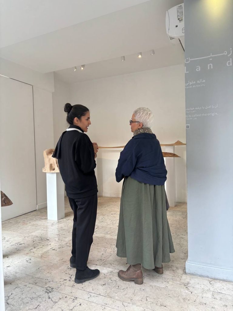 Haleh Moteally - Land Project - Installation Views