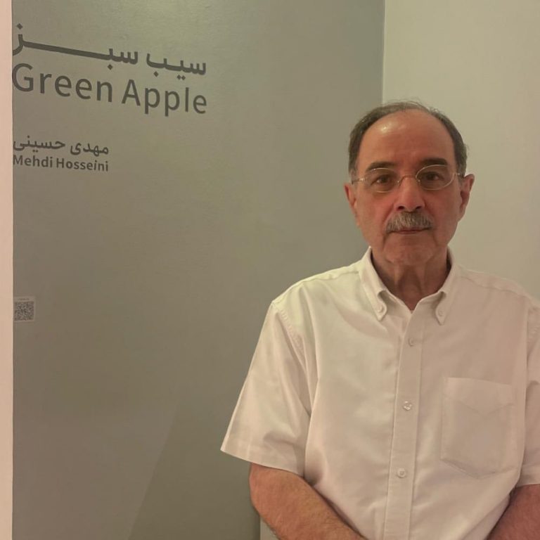 mehdi hosseini - green apple installation views