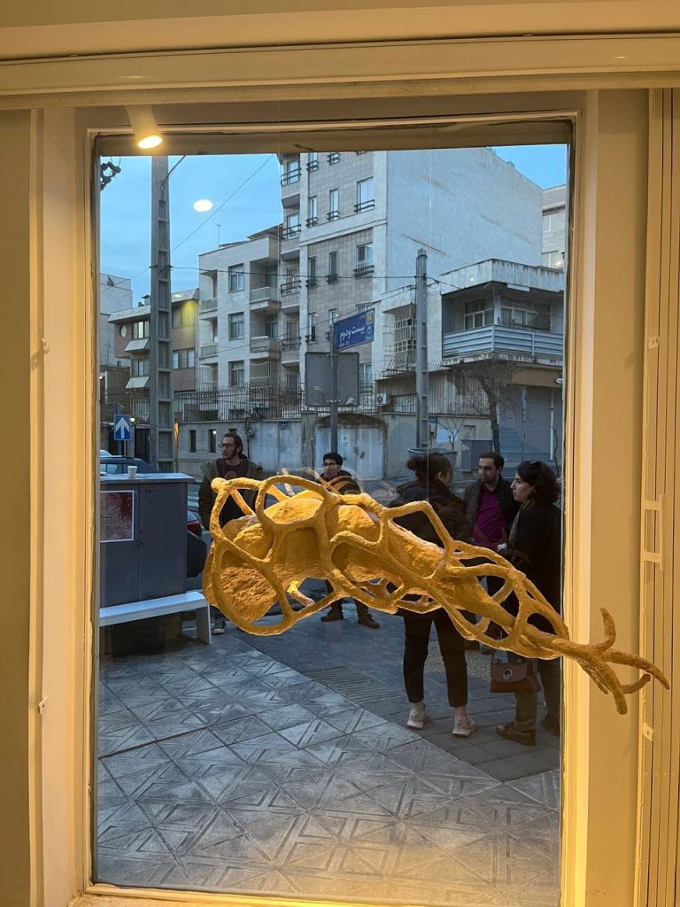 Sarina salimi - maturation installation view