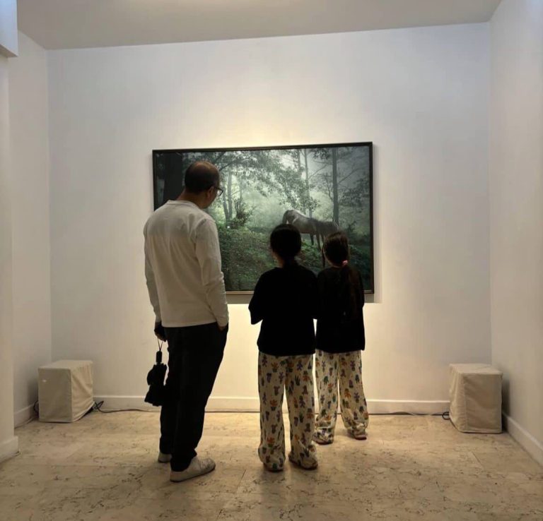 common:hayatkhalvat - installation views