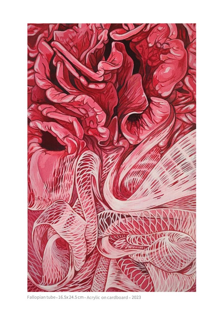 Fallopian tube- 16.5x24.5 cm - acrylic on cardboard - 2023