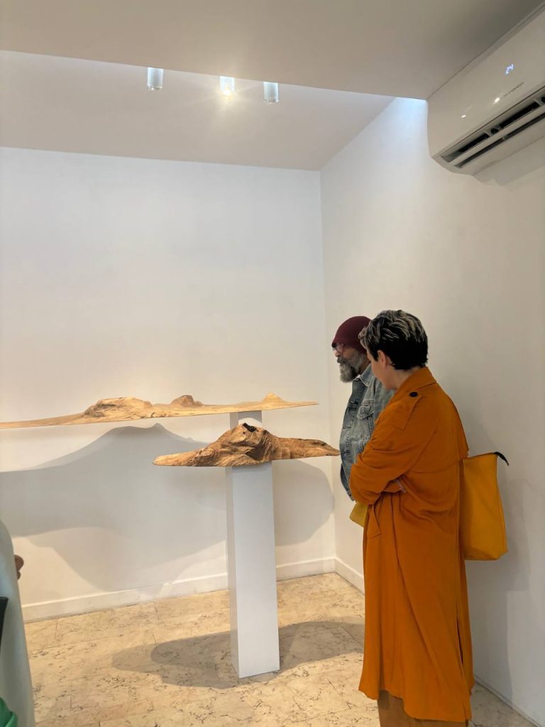 Haleh Moteally - Land Project - Installation Views