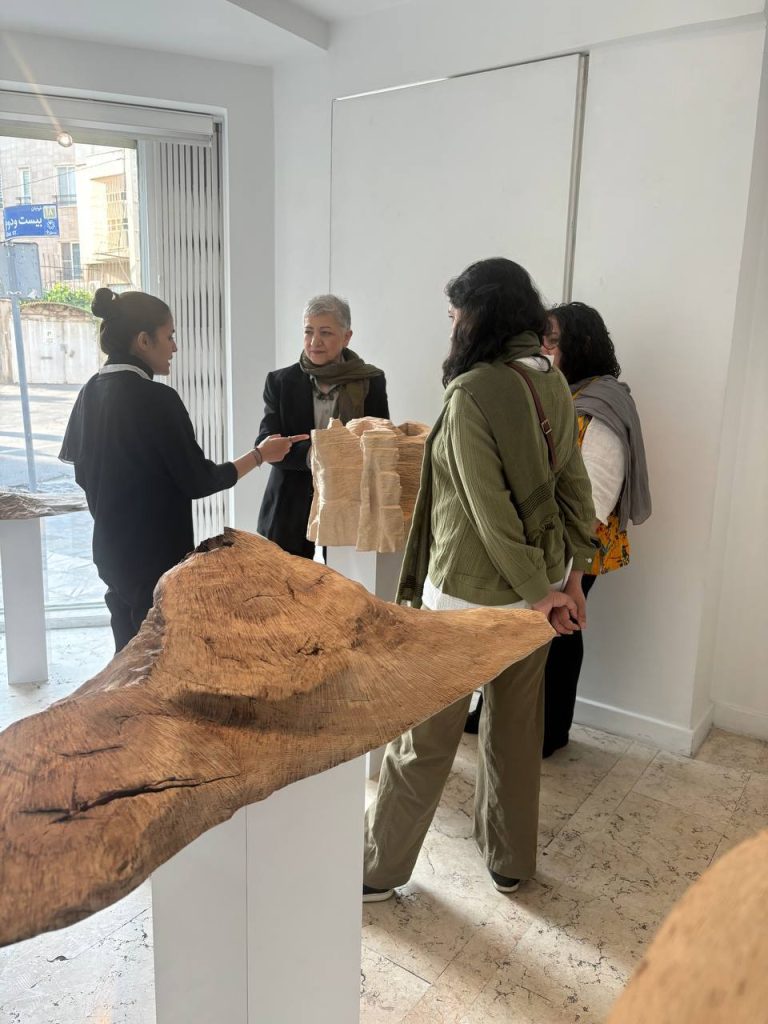 Haleh Moteally - Land Project - Installation Views