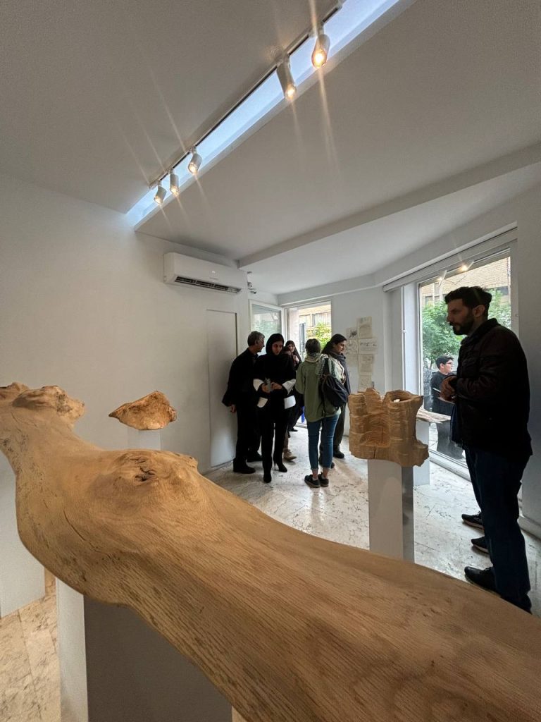 Haleh Moteally - Land Project - Installation Views