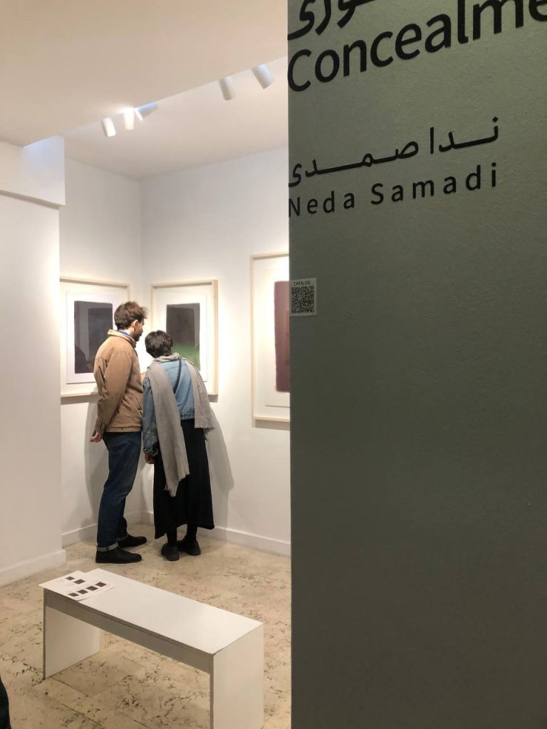 Neda Samadi - Concealment - IV10