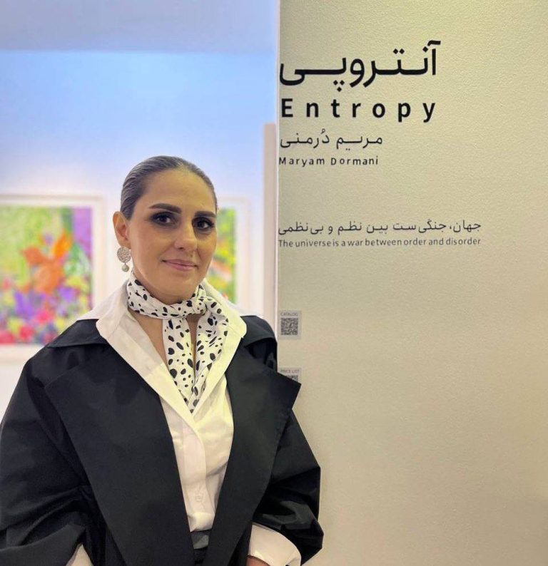 Maryam Dormani - Entropy Project - Installation views