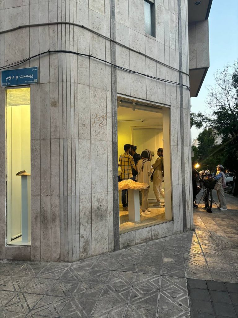 Haleh Moteally - Land Project - Installation Views