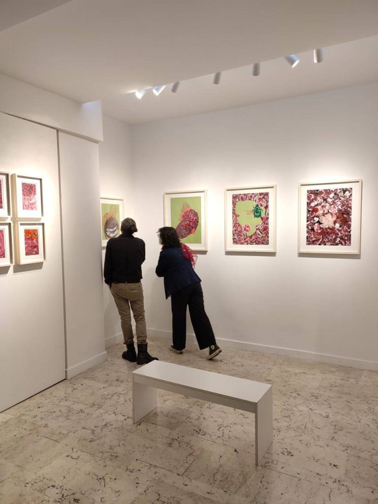Maryam Dormani - Menopause Project - Installation views
