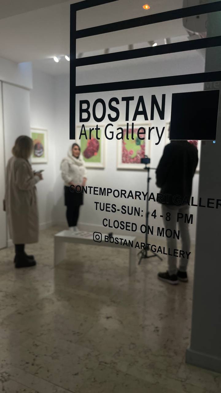 Maryam Dormani - Menopause Project - Installation views