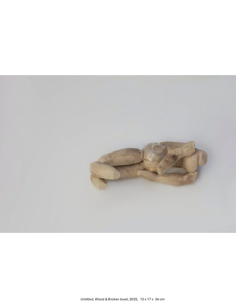 Breaking-Whats-Broken-Shekar-Bahrami-Bostan-Gallery-2025-1_page-0056