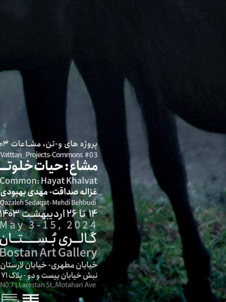common:hayatkhalvat poster